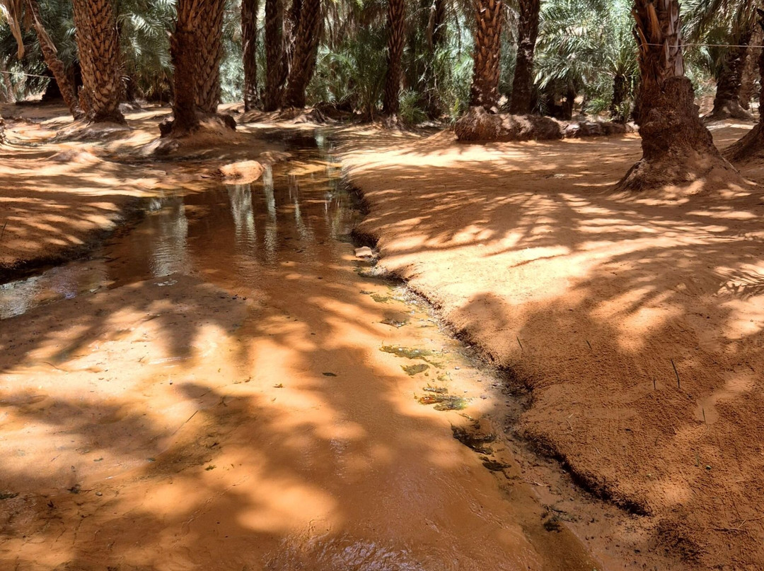 Terjit Oasis-Atar必去景点