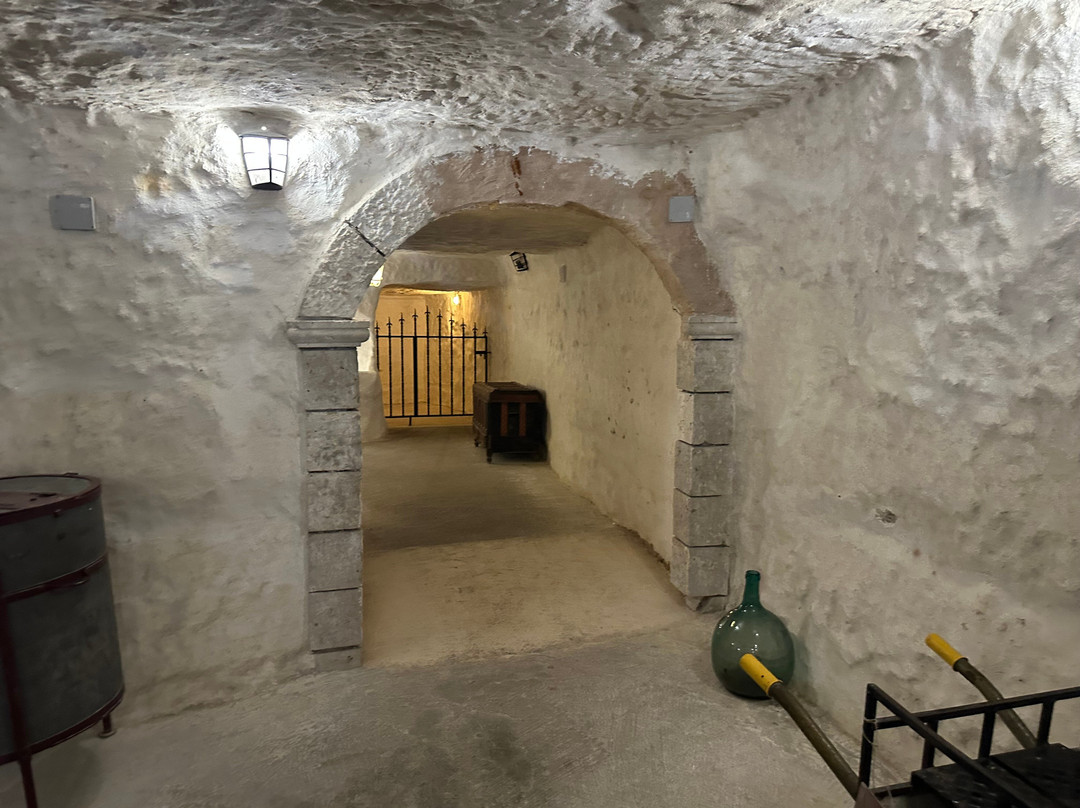 David's Coachtrips-托雷维耶哈必去景点