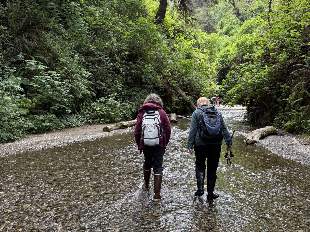 Redwood Adventures景点图片