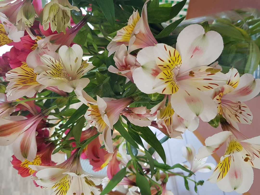 Logis Hôtel le Grand Turc主图