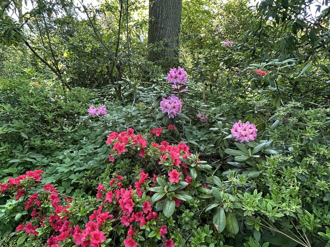 Great Comp Garden-Platt必去景点