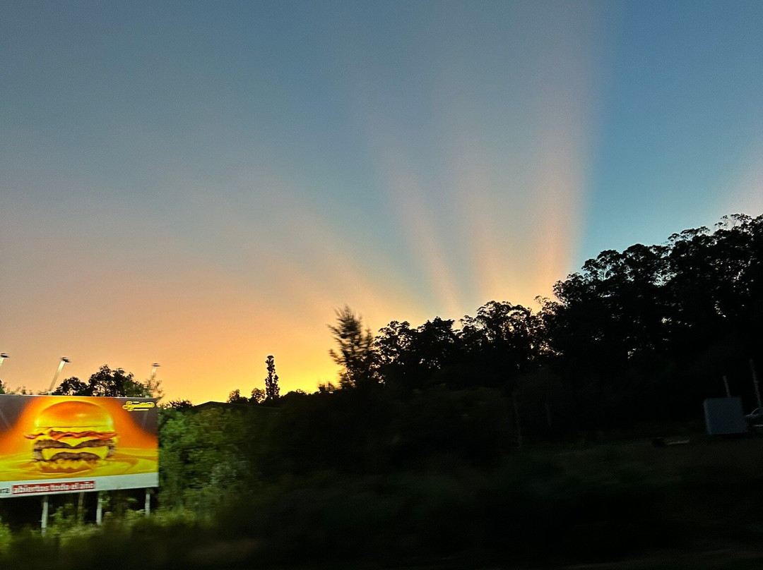 Playa Punta Ballena-Punta Ballena必去景点