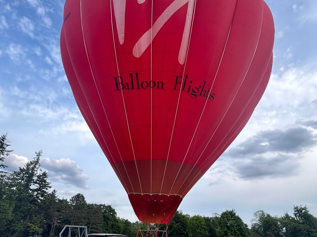 Virgin Balloon Flights - Swindon, Lydiard Park-斯温顿必去景点
