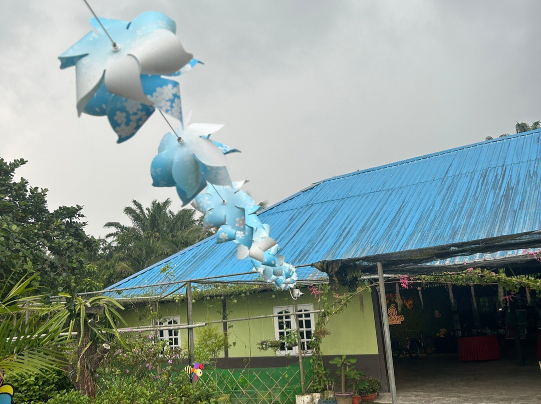 Desaru Fruit Farm-哥打丁宜必去景点