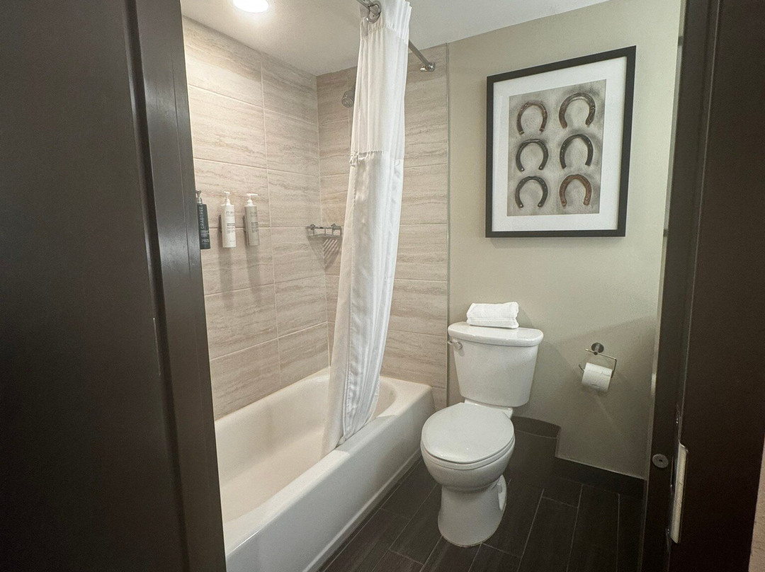 DoubleTree by Hilton Lubbock University Area主图