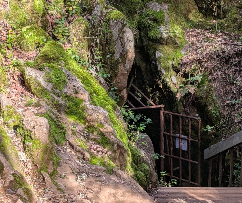 Black Chasm Cavern-Pine Grove必去景点