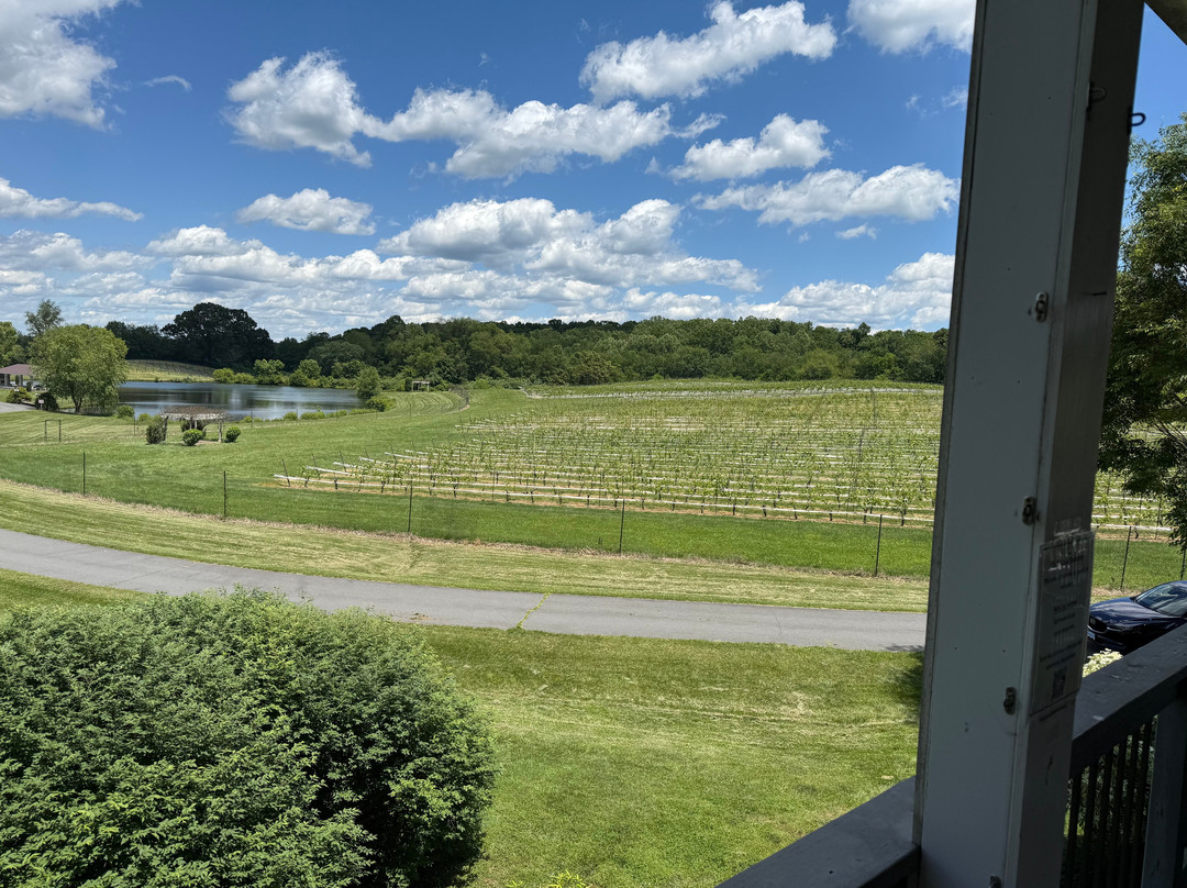 Narmada Winery-Amissville必去景点