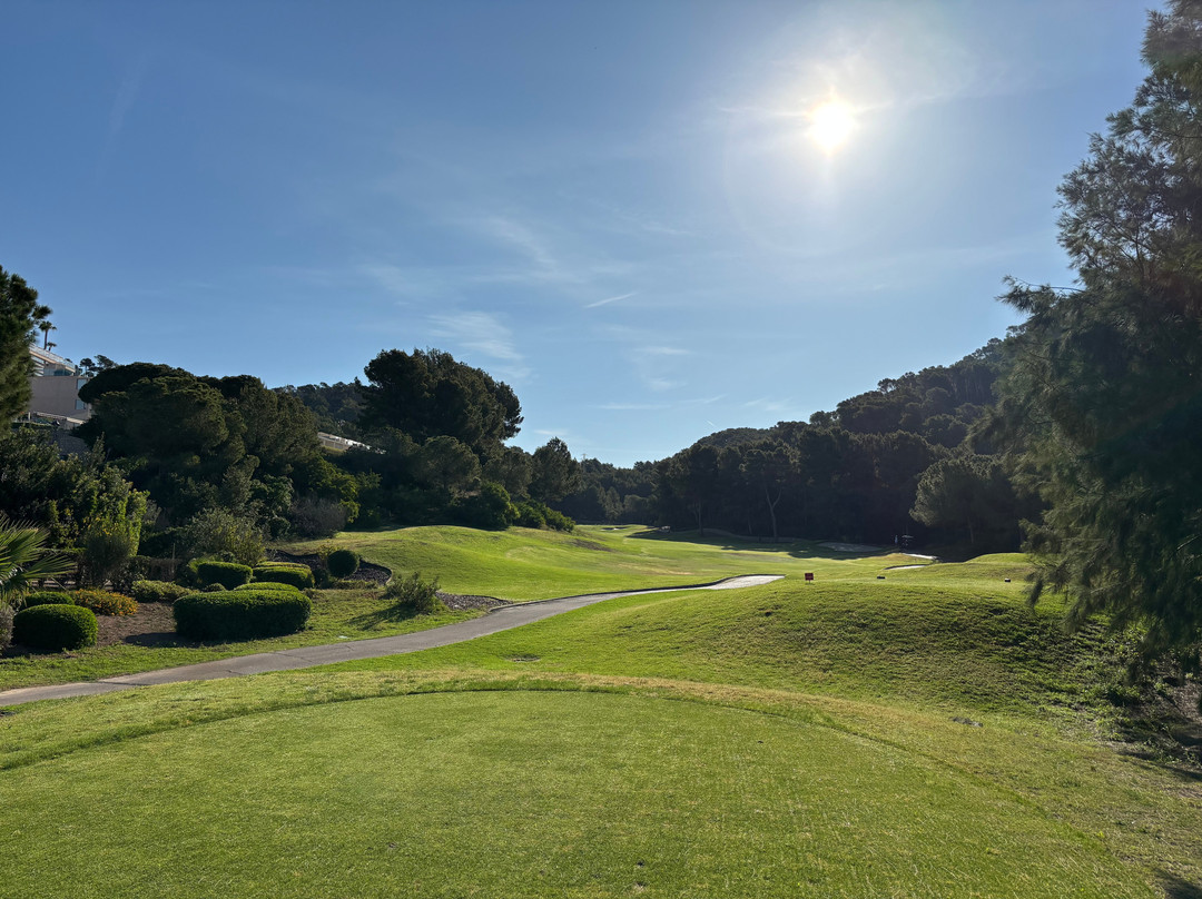 Golf de Andratx景点图片
