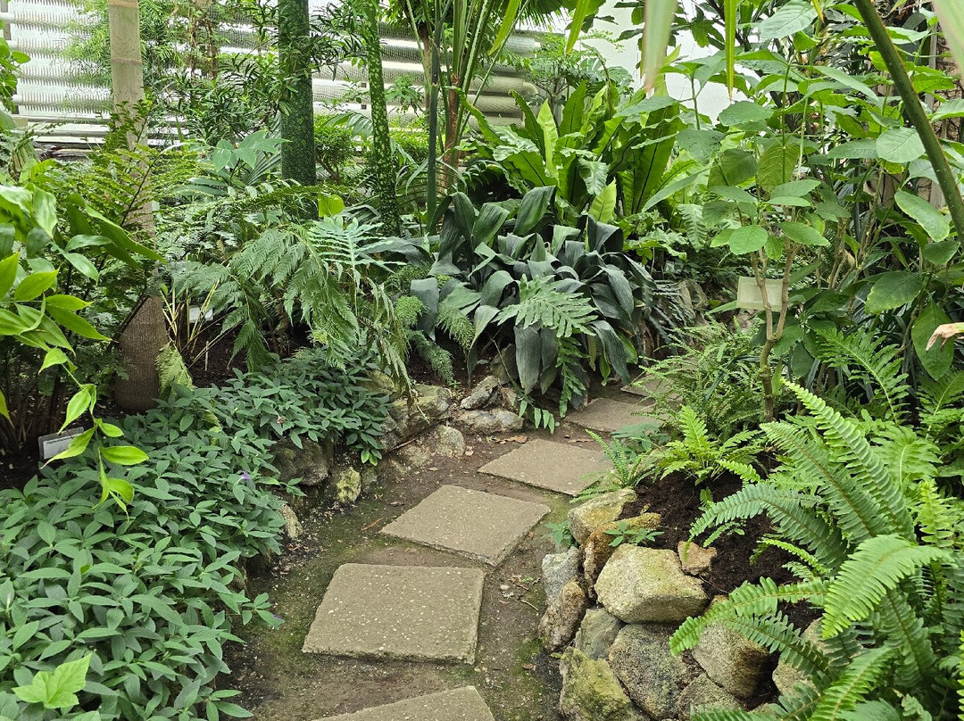 Botanical Garden景点图片