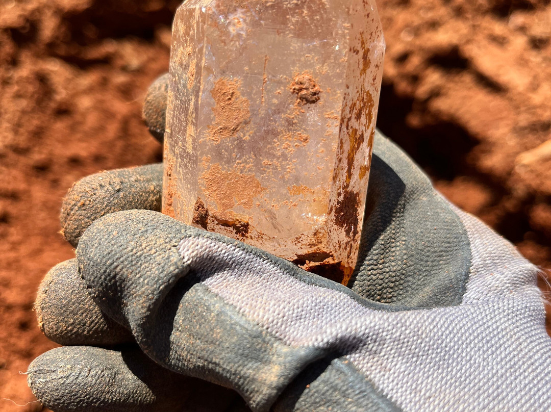 Ron Coleman Mining-Jessieville必去景点