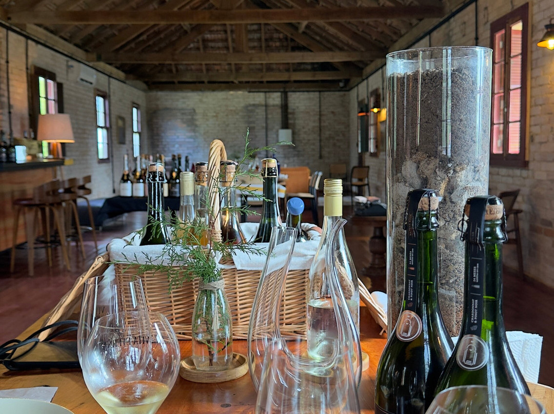 Vinicola Vita Eterna - Degustação e Wine Garden景点图片