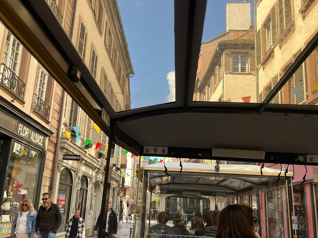 Petit Train Touristique de Strasbourg景点图片
