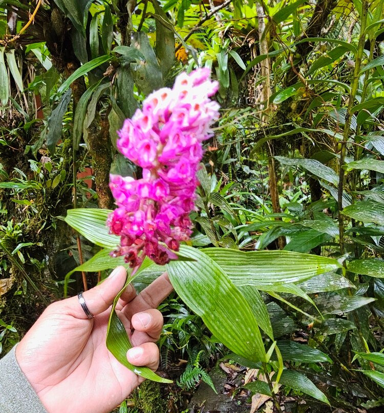 Costa Rica Expeditions景点图片