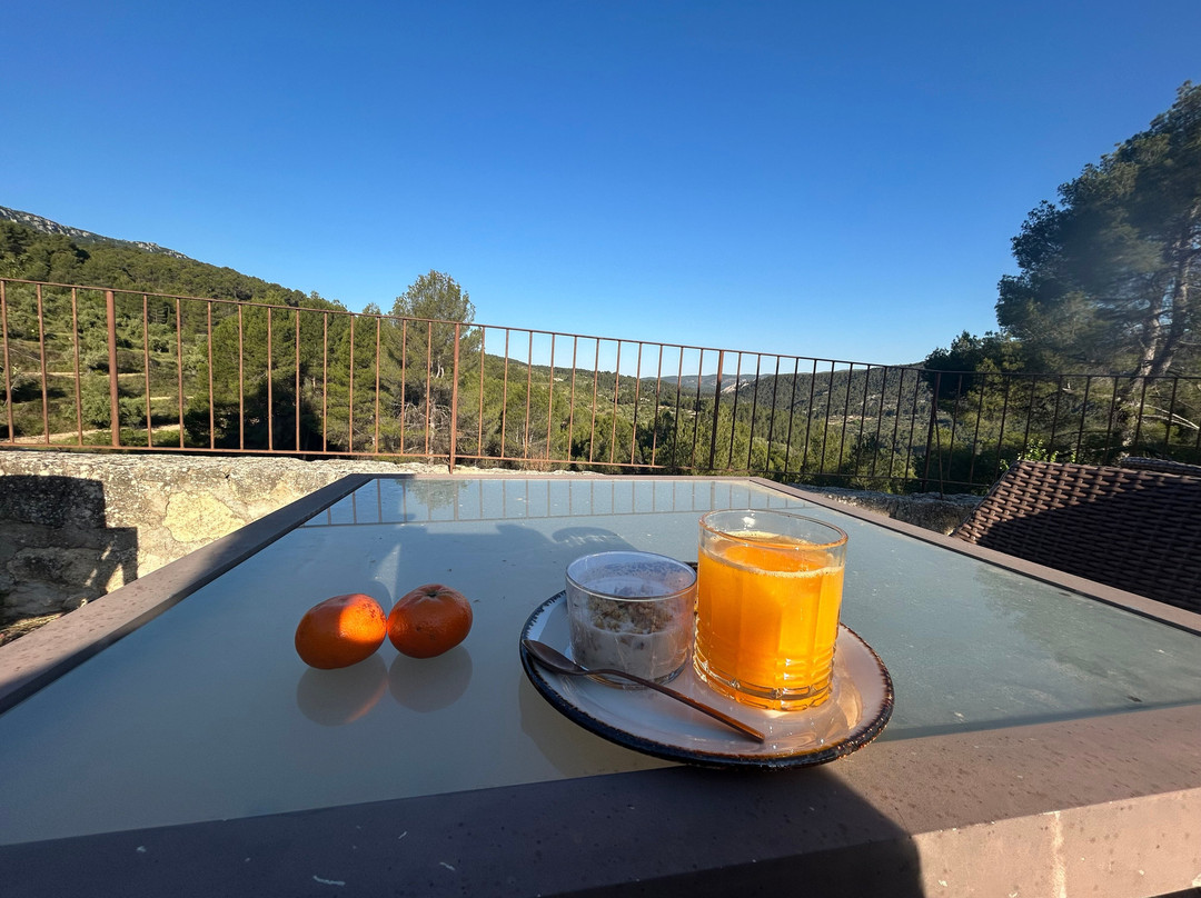 Hotel Con Encanto La Mota B&B主图