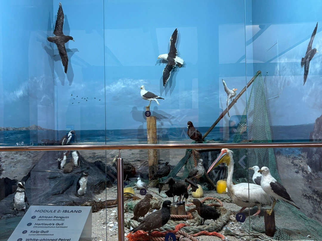 Namibia Maritime Museum-吕德里茨必去景点