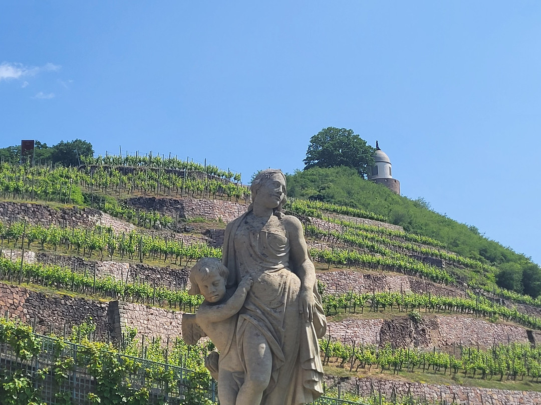 Schloss Wackerbarth-Radebeul必去景点
