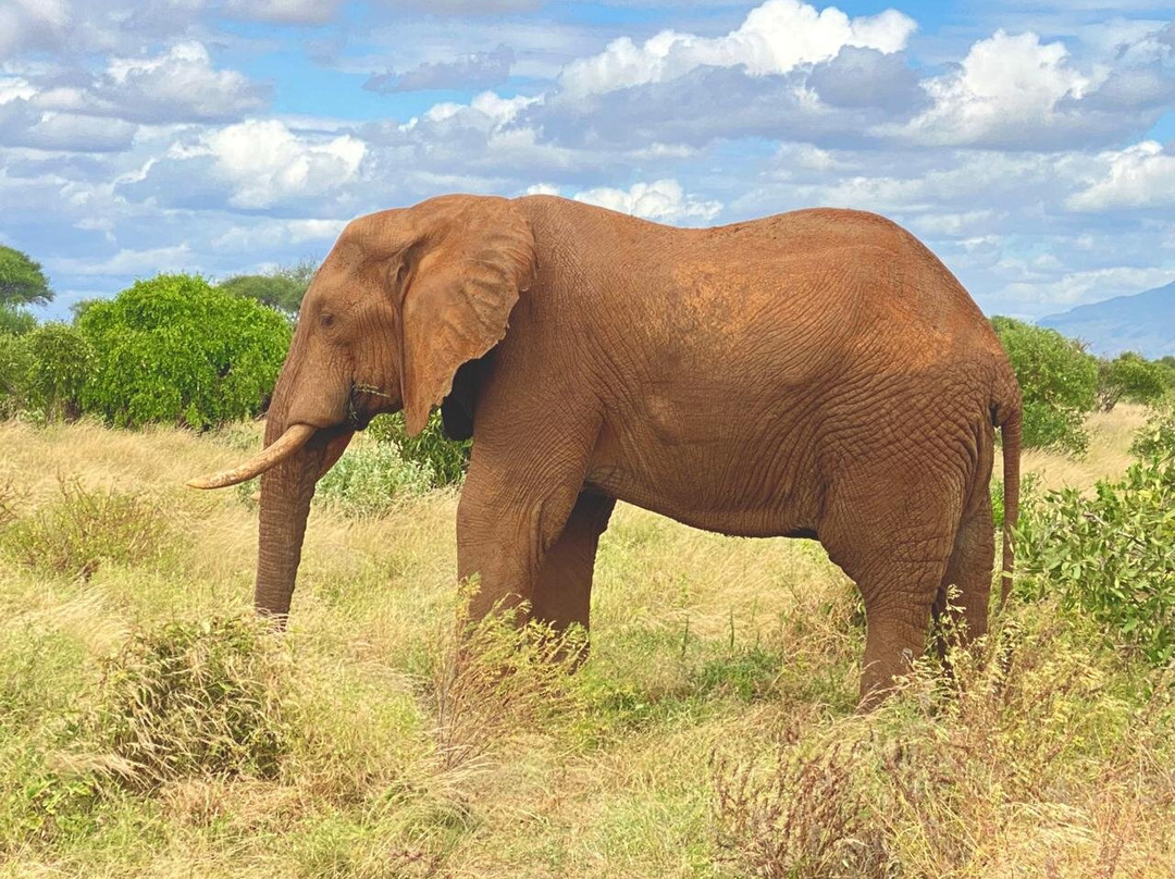 Royal Star Expeditions-内罗毕必去景点