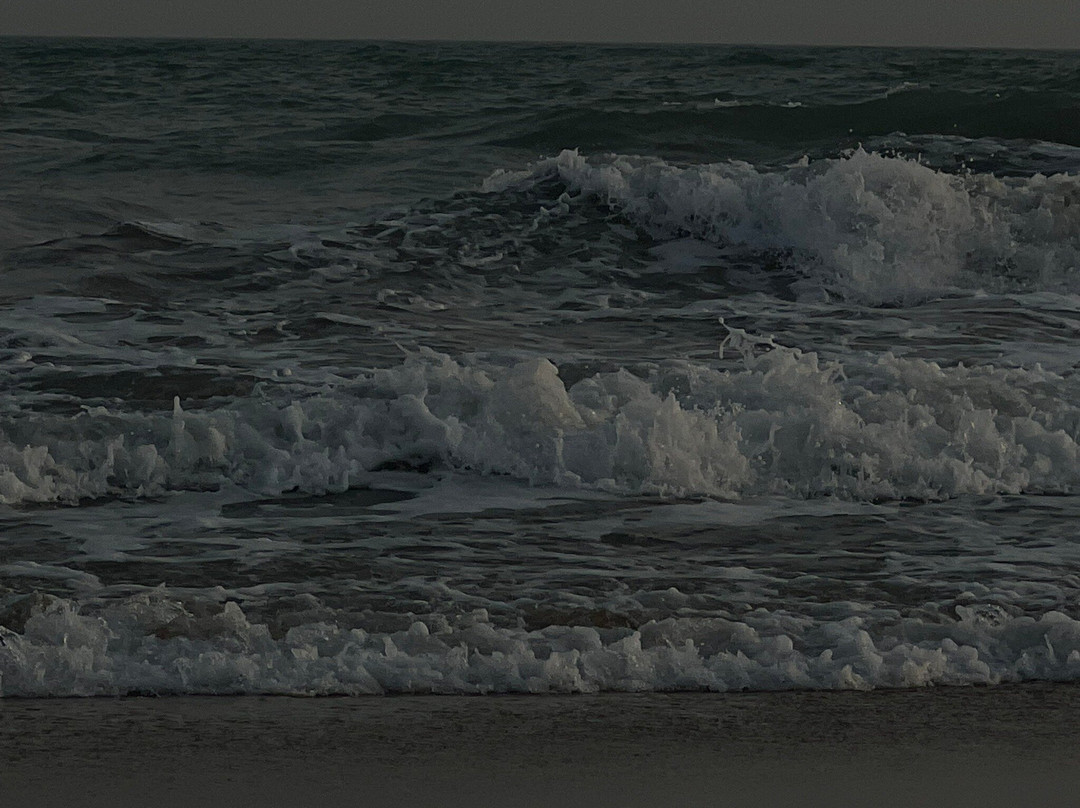 Mangrove Forest in Chabahar-Chabahar必去景点