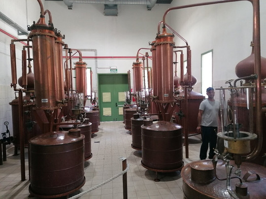 Ouzo Museum: The World of Ouzo-Plomari必去景点
