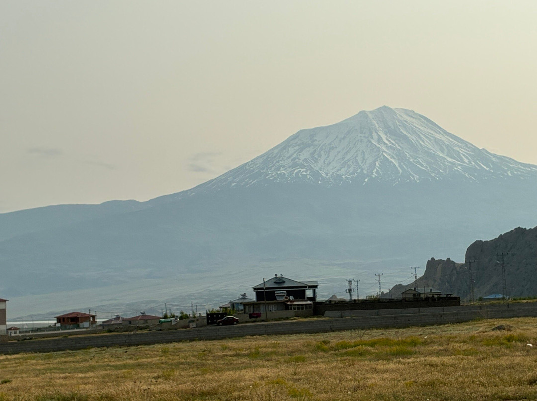 Ark Hostel Camping & Caravaning