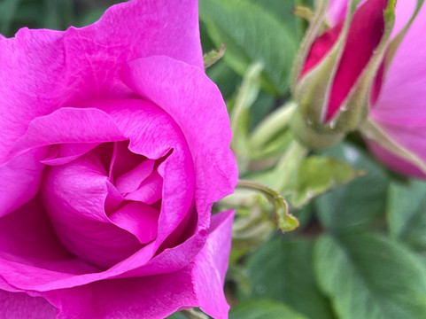 Epic Alaska-苏厄德必去景点