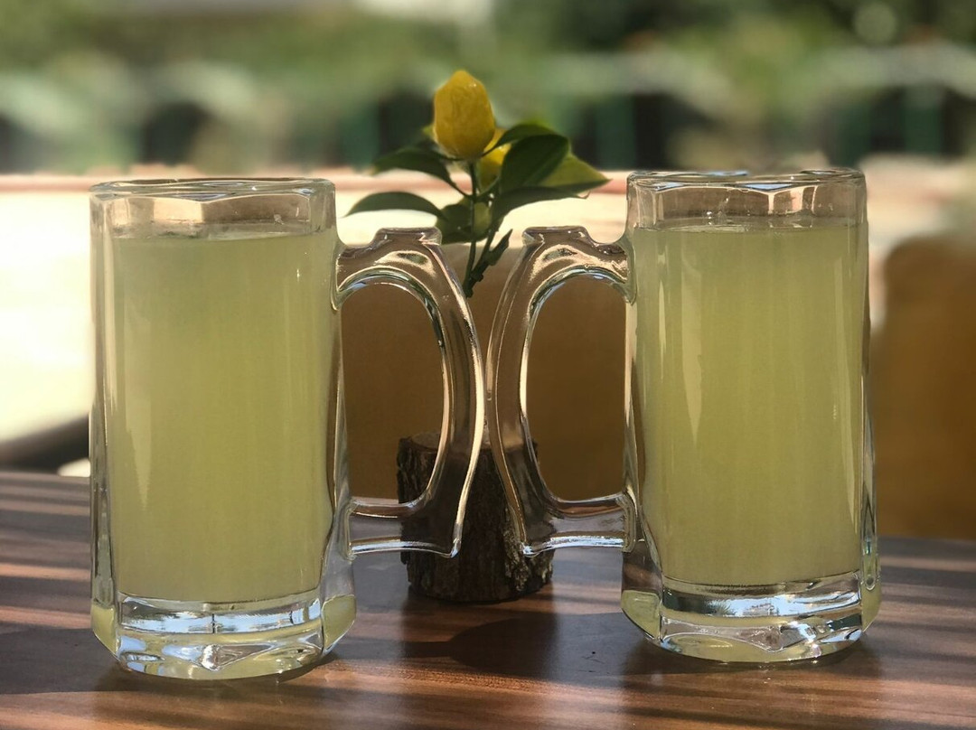 Bahcamatiate Midyat At Ciftligi Ve Mini Hayvanat Bahcesi-Midyat必去景点