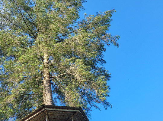 Natural Tourism Panorama Baru-武吉丁宜必去景点