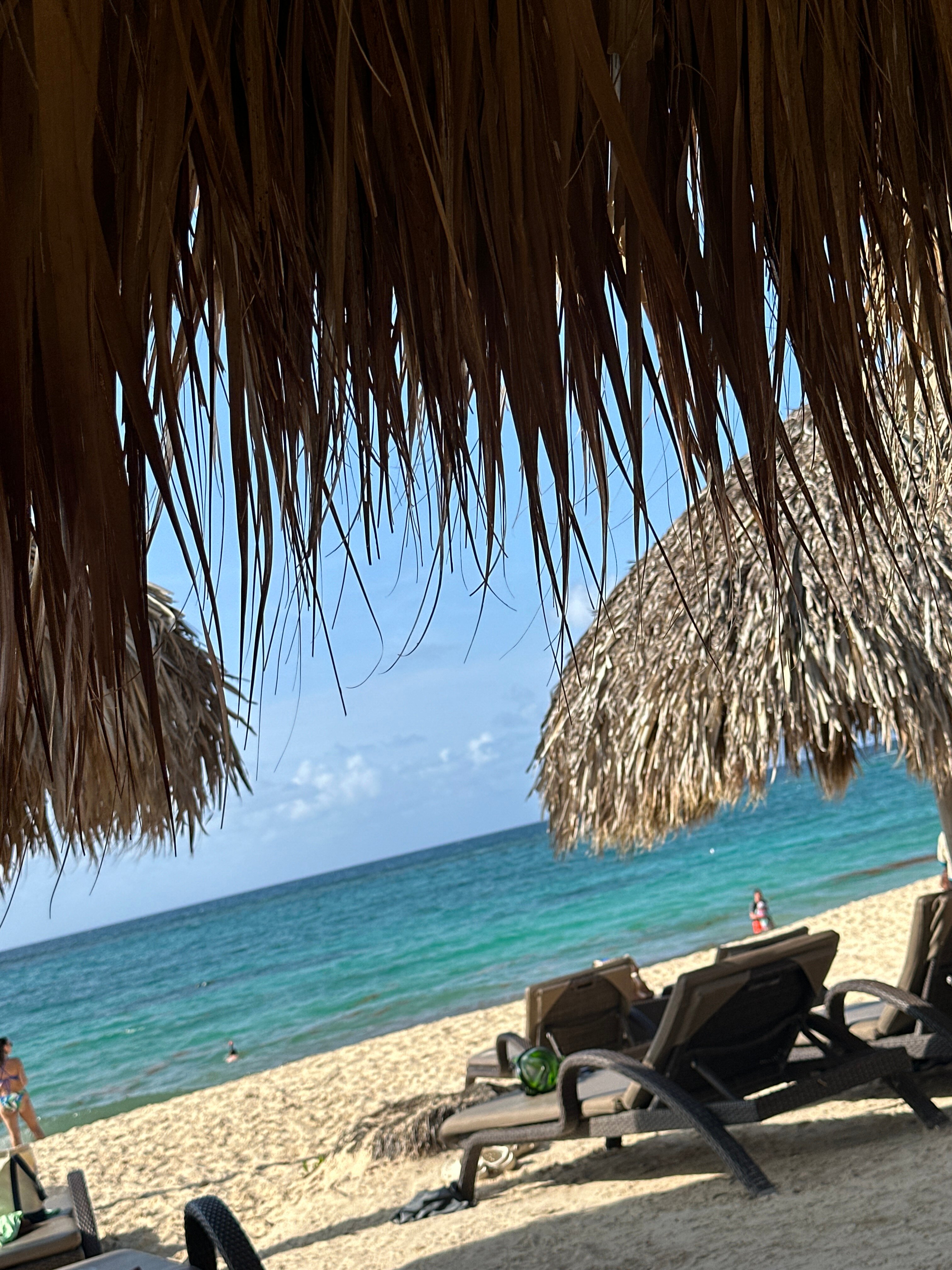 Royalton Punta Cana, An Autograph Collection Resort & Casino-泳池