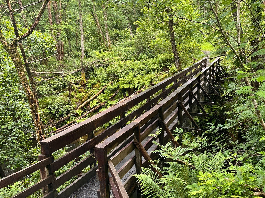 Loch Lomond Faerie Trail-拉斯必去景点