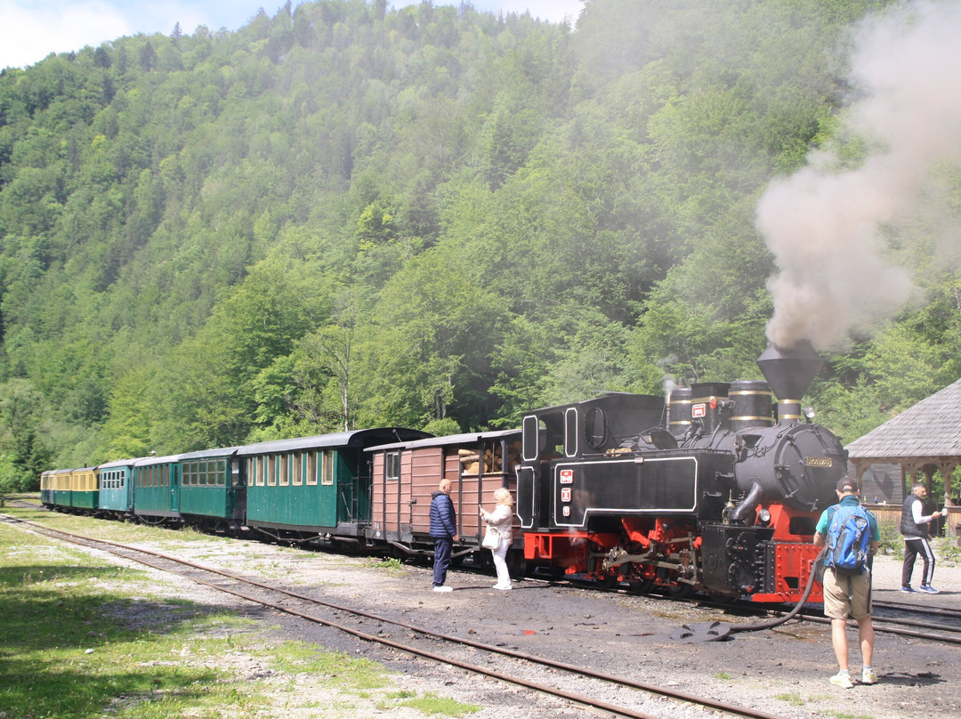 Vaser Valley Forestry Railway - Day Tours-Viseu de Sus必去景点