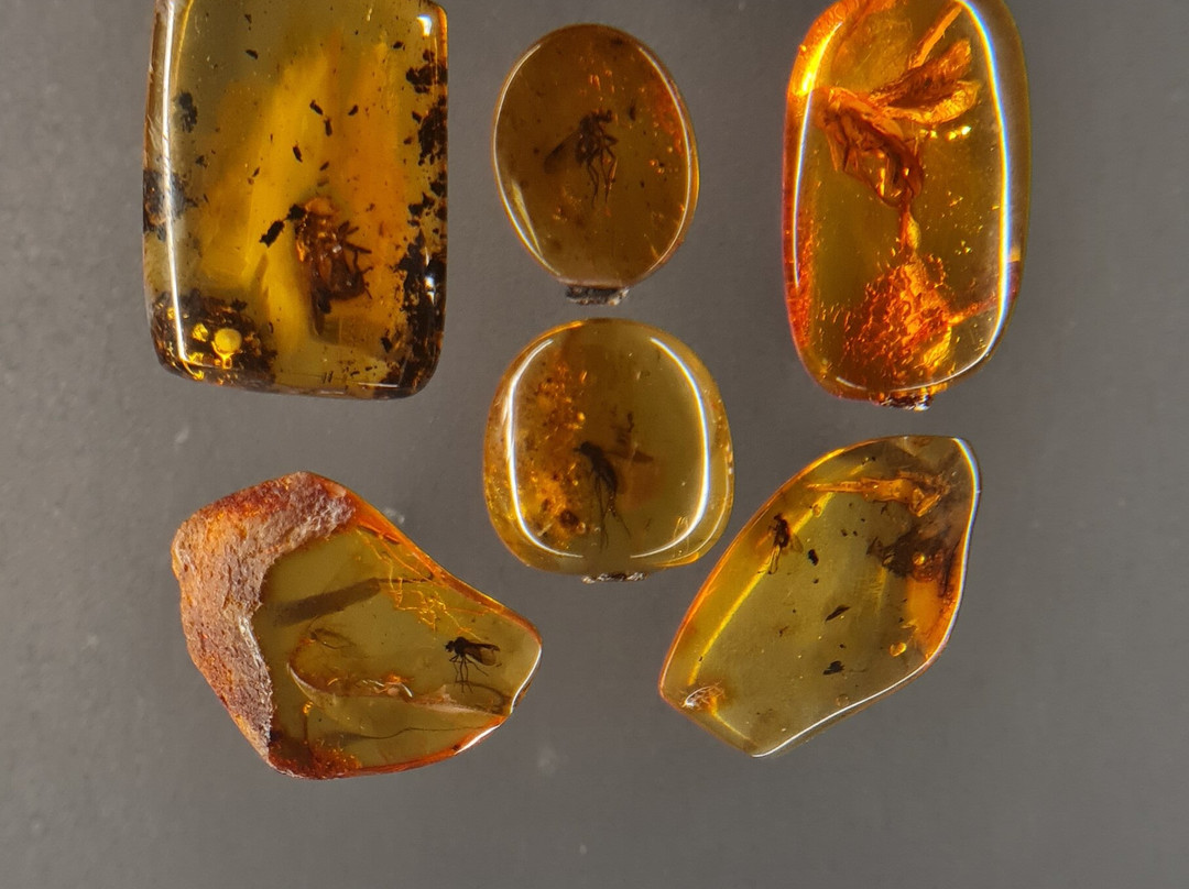 Mizgiris Amber Museum-Nida必去景点