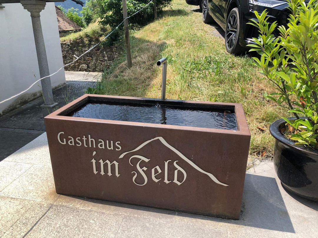 Gasthaus Im Feld主图