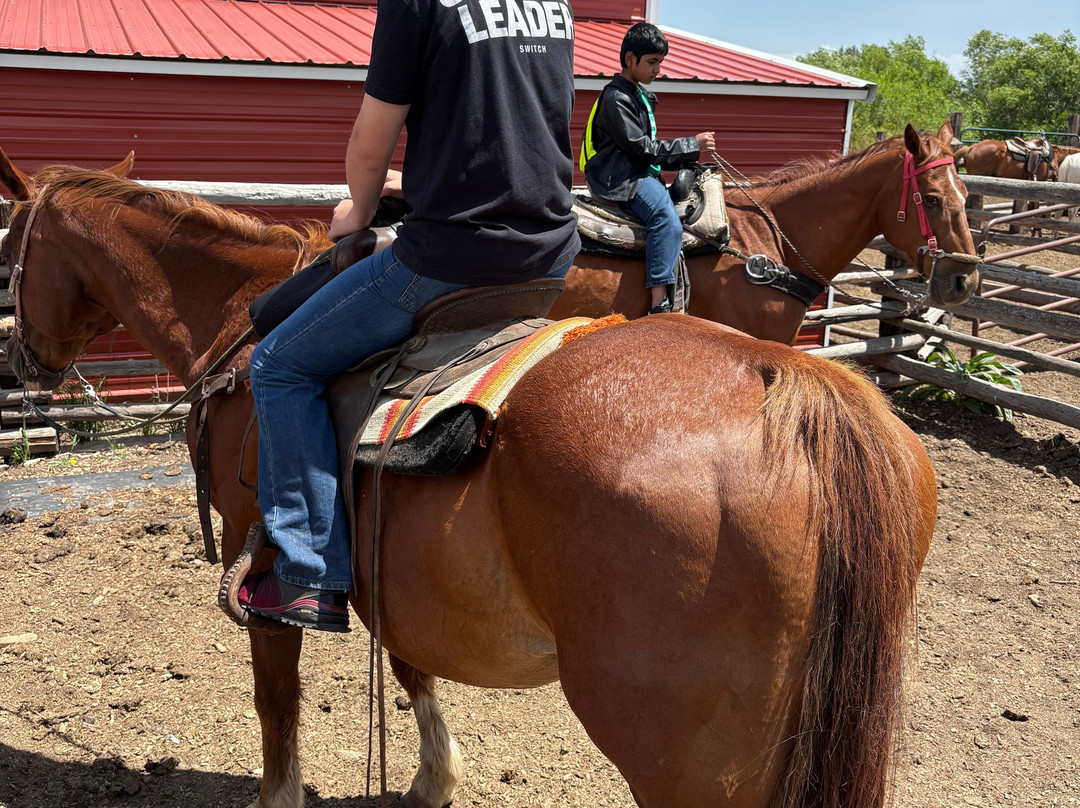 Yellowstone Horses - Eagle Ridge Ranch-艾兰帕克必去景点