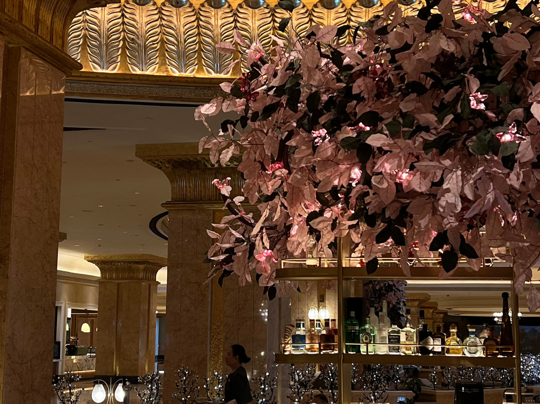 Guide Elias-迪拜必去景点