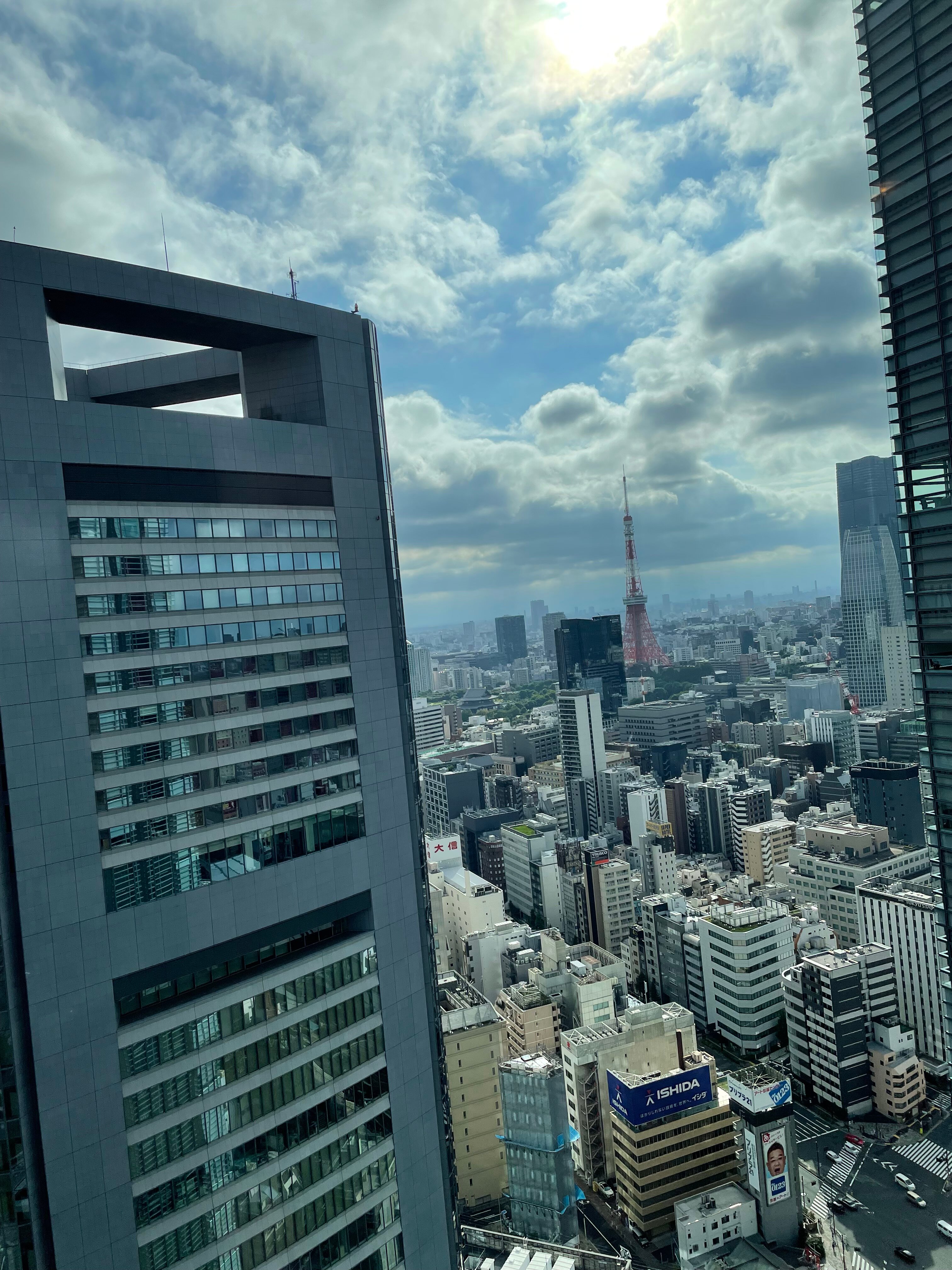 THE 皇家花园酒店 ICONIC 东京汐留-酒店景观