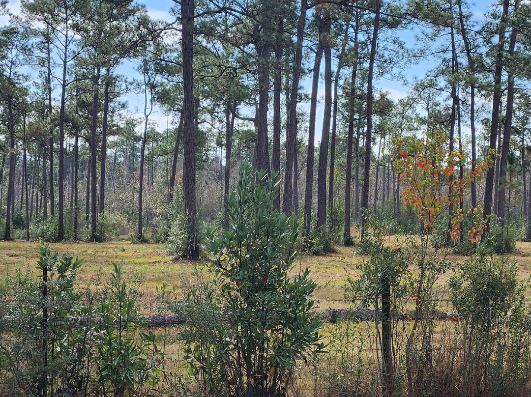 Blackwater Heritage State Trail-Milton必去景点