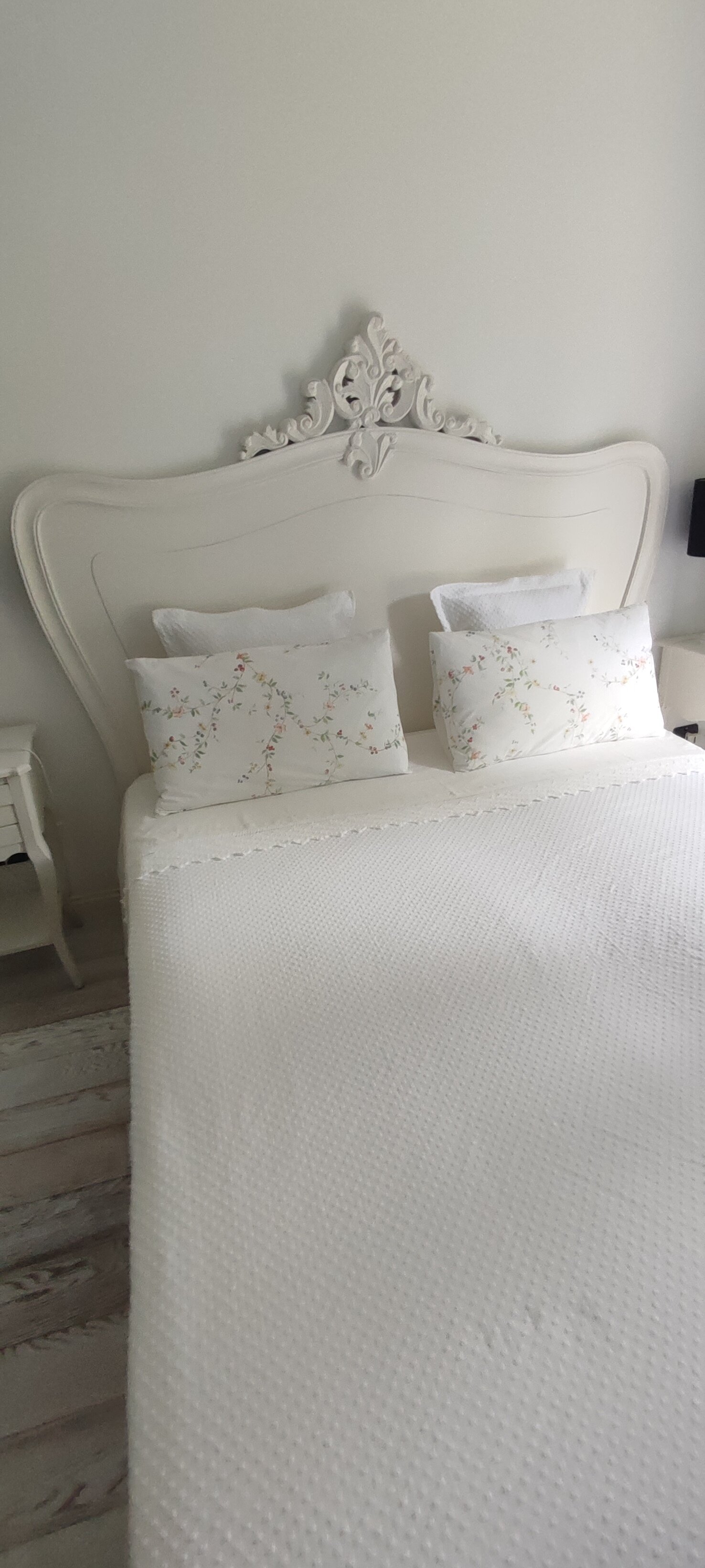 B&B Caterina.c-官方