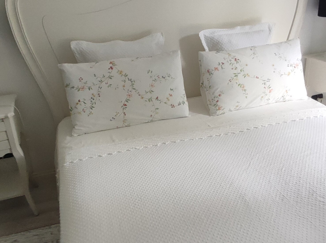 B&B Caterina.c主图