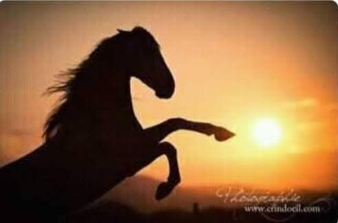 Centre Dar Equestre-阿伊特·本·哈杜筑垒村必去景点