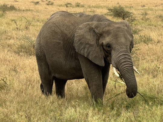 Chemli Expeditions-莫西必去景点