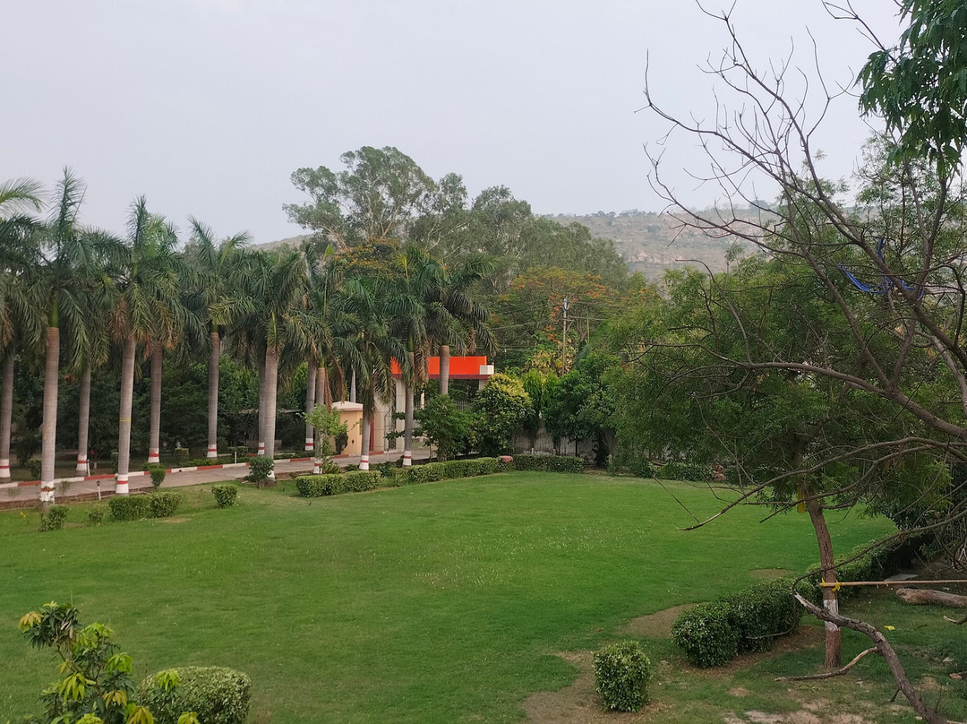 The Rajgir Residency主图