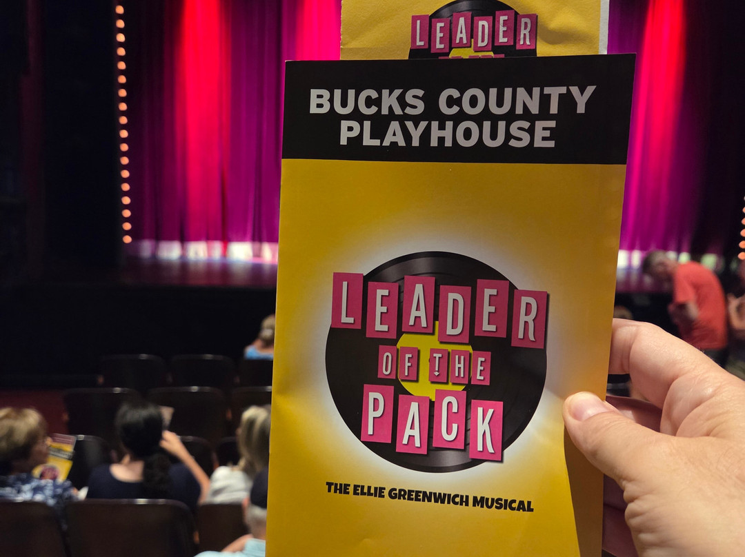 Bucks County Playhouse-纽霍普必去景点
