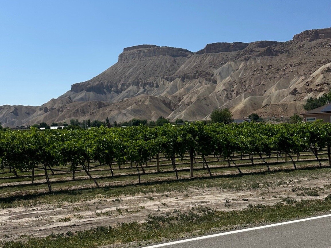 Palisade Pedicab-Palisade必去景点