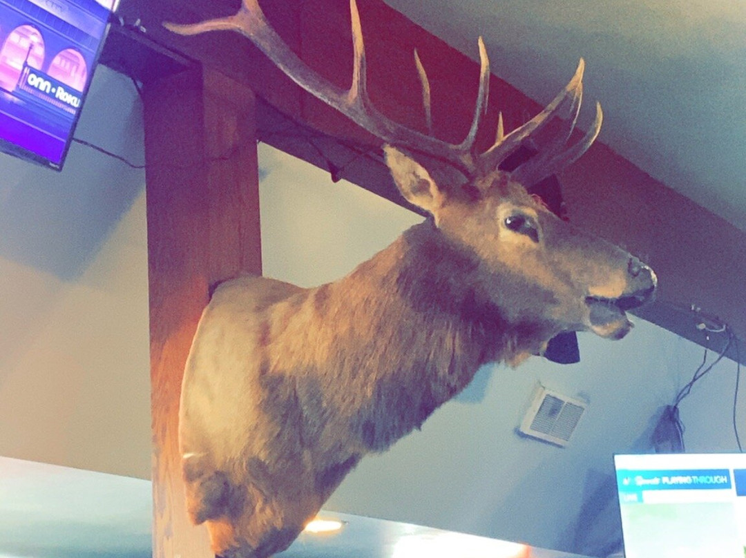 Honkers Dining, Lodging, and Spirits