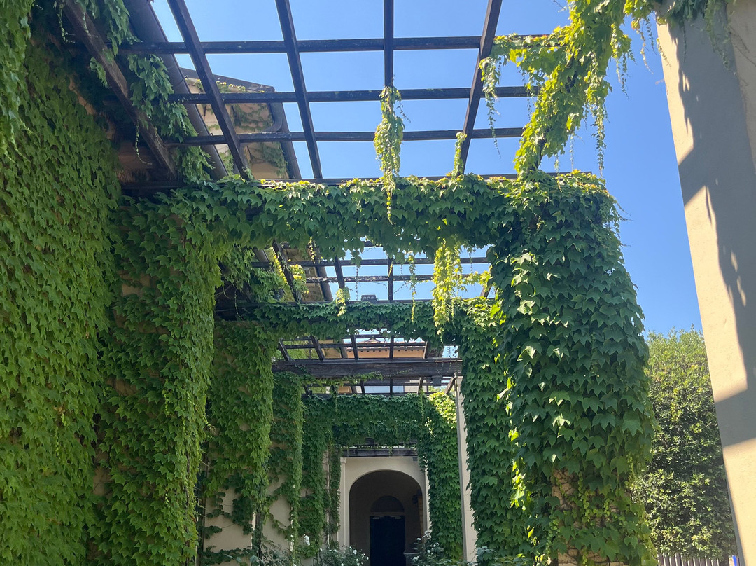 Castiglion del Bosco Winery-蒙塔尔奇诺必去景点