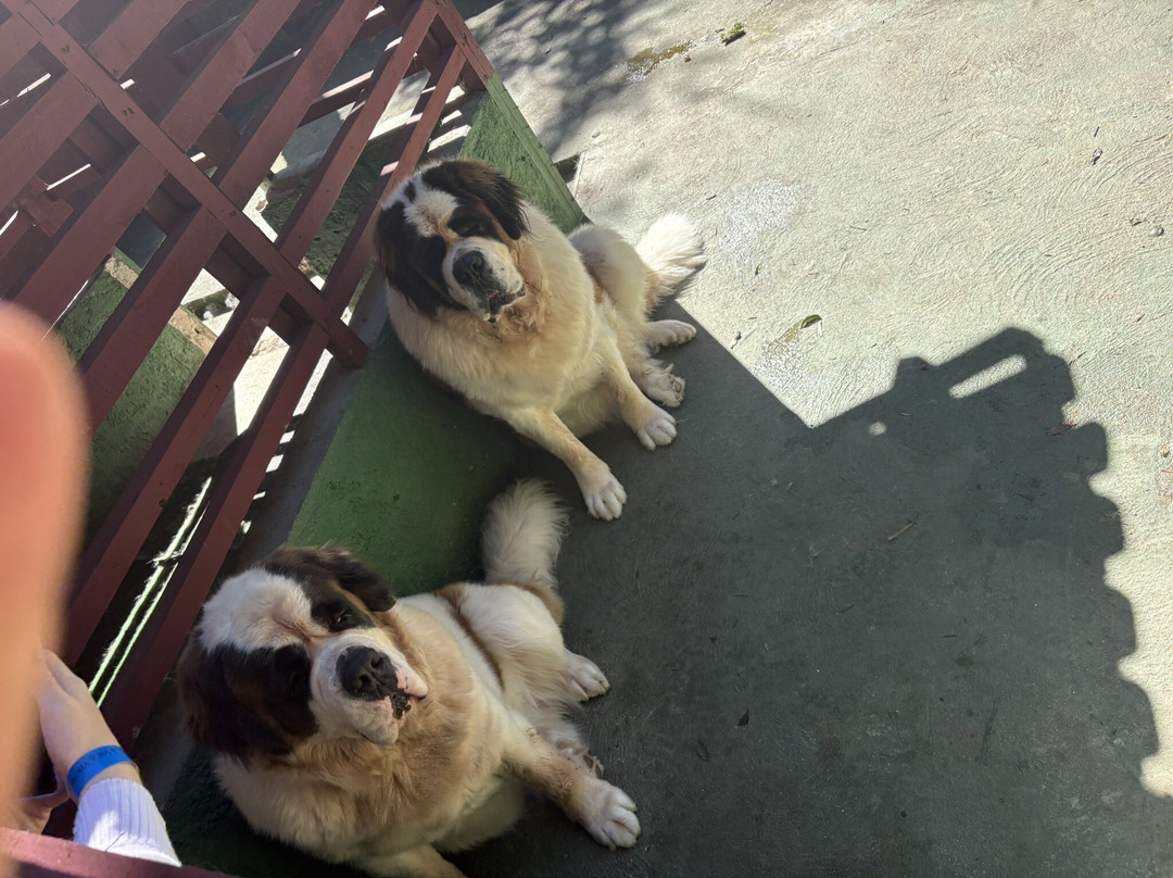 Villaleta-蒙特贝尔德必去景点