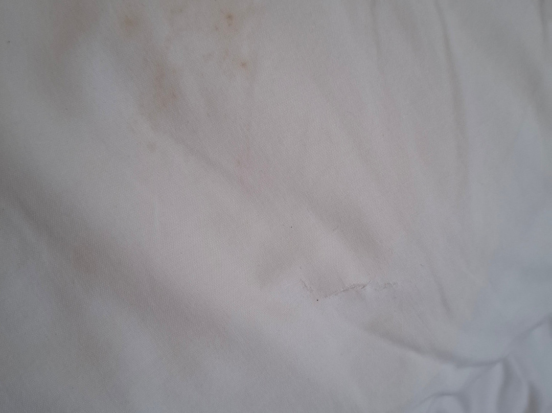 Hotel Pezzotti主图