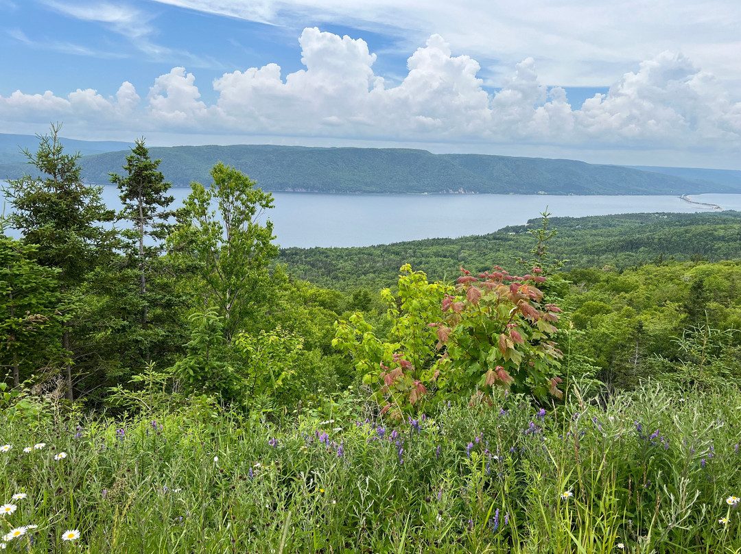 Blackwood Tours-新沃特福德必去景点