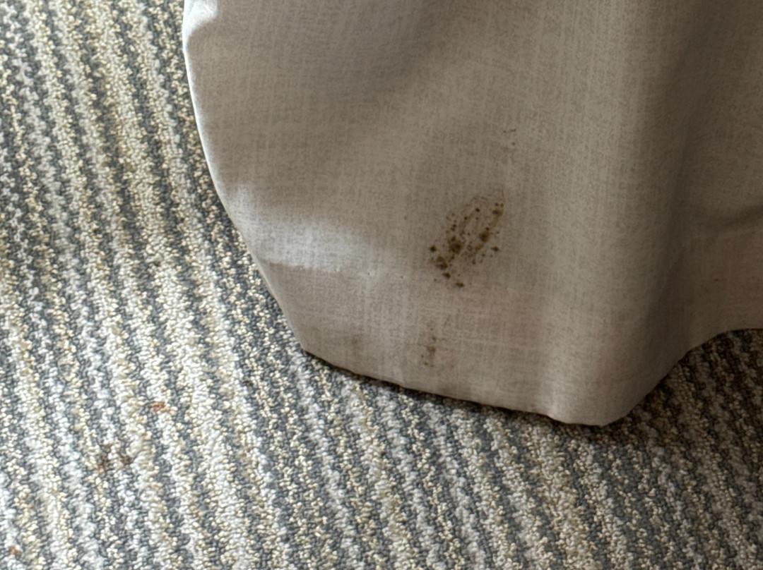 舒适套房酒店-伦伯顿北部主图