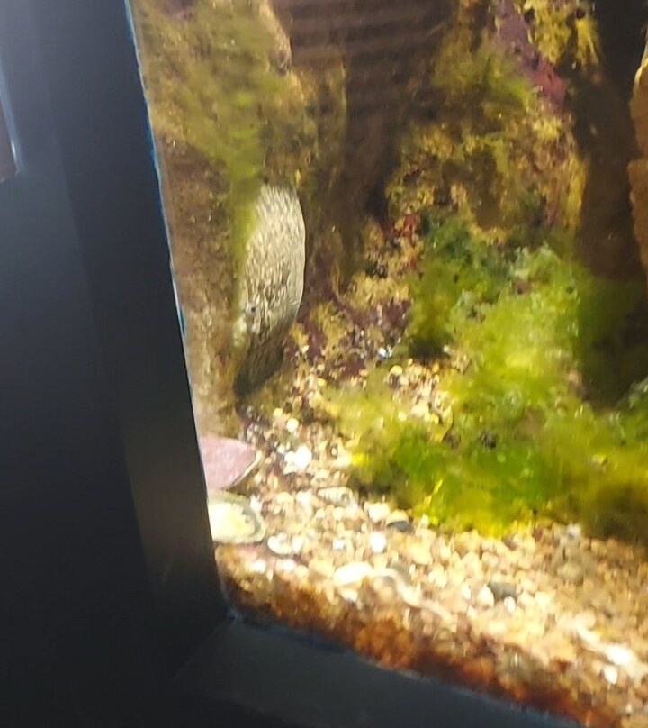 Aquarium Marin De Tregastel-Tregastel必去景点